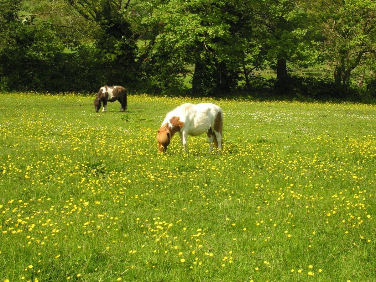 Duddings Country Cottages Minehead Εξωτερικό φωτογραφία