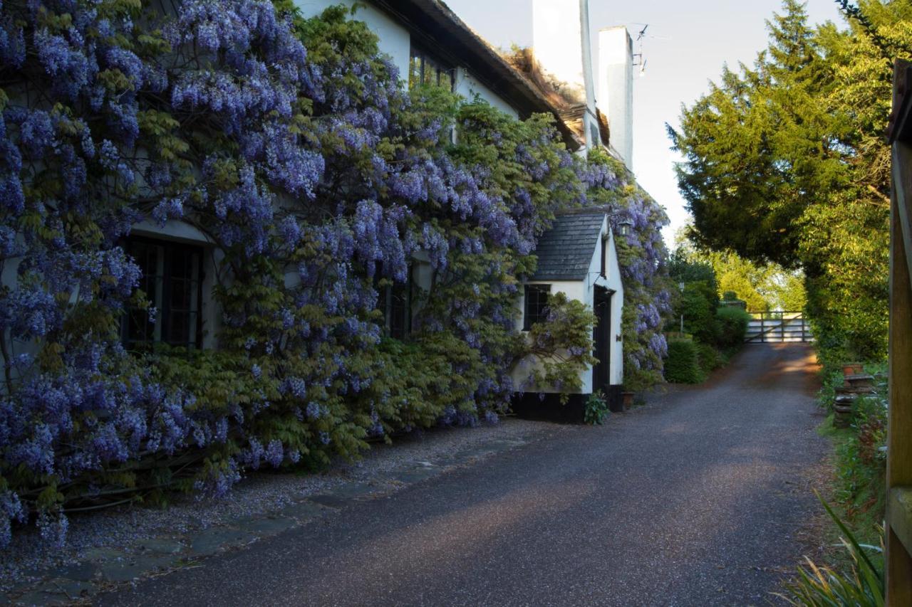 Duddings Country Cottages Minehead Εξωτερικό φωτογραφία